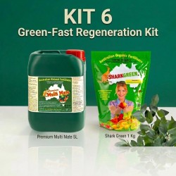 KIT 6 Rigenerante Green-Fast - Cura Ingiallimenti e Stress