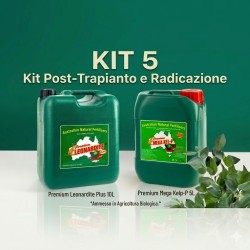 KIT 5 Post-Trapianto e Radicazione - Attecchimento Sicuro