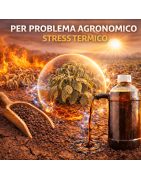 Stress Termico