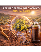 Suoli Alcalini