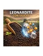 Leonardite con Silicio
